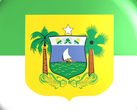 Roc-In